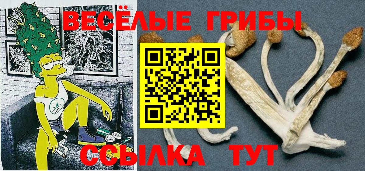 Псилоцибиновые грибы Psilocybe  Псилоцибиновые грибы Magic Shrooms  Пушкино  Вход с VPN 